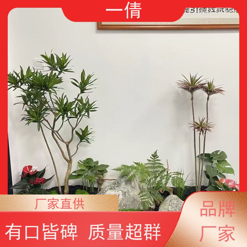 一倩花卉 深圳 小慧兰 开业花篮租赁 全城配送 上门养护