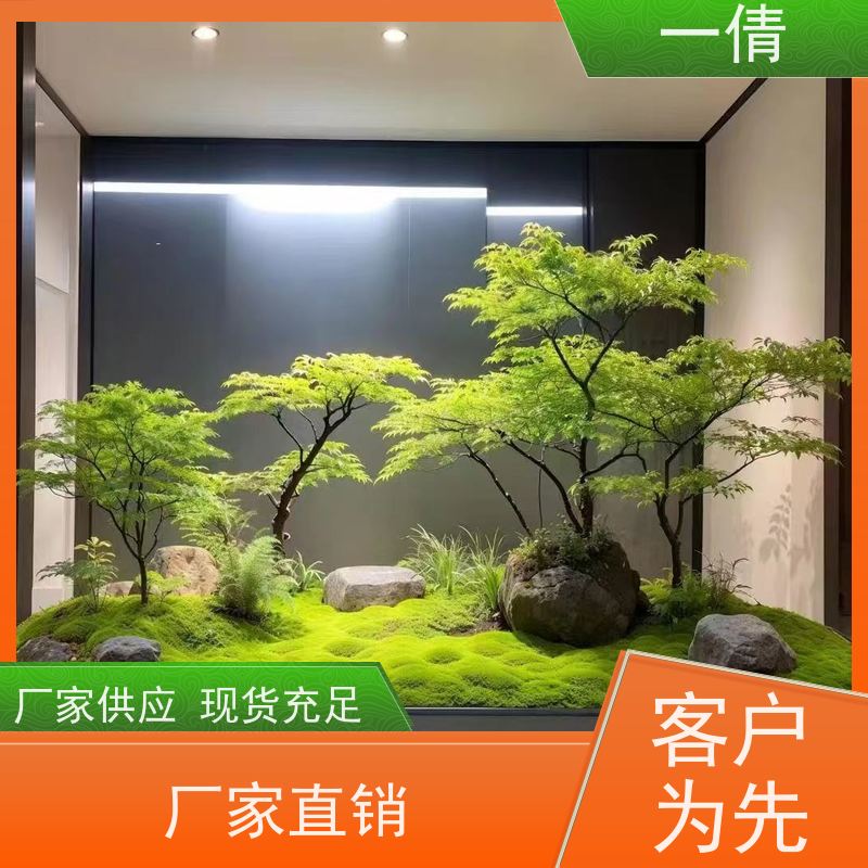 一倩花卉 前台 虎尾兰 绿植出售 种类繁多 规格齐全