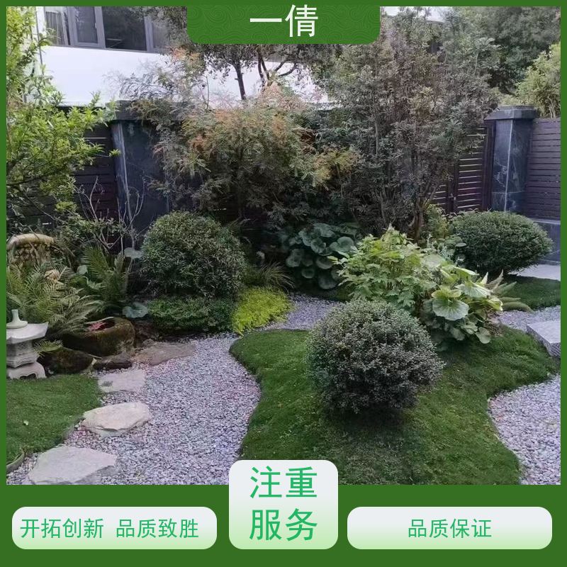 一倩花卉 前台 红蝴蝶兰 绿植出售 桌面绿植 花木护理