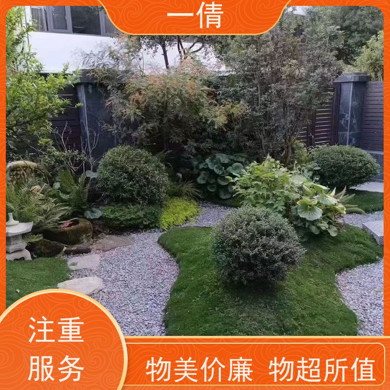 一倩花卉 深圳 蓝宝石 绿植租摆 种类繁多 规格齐全