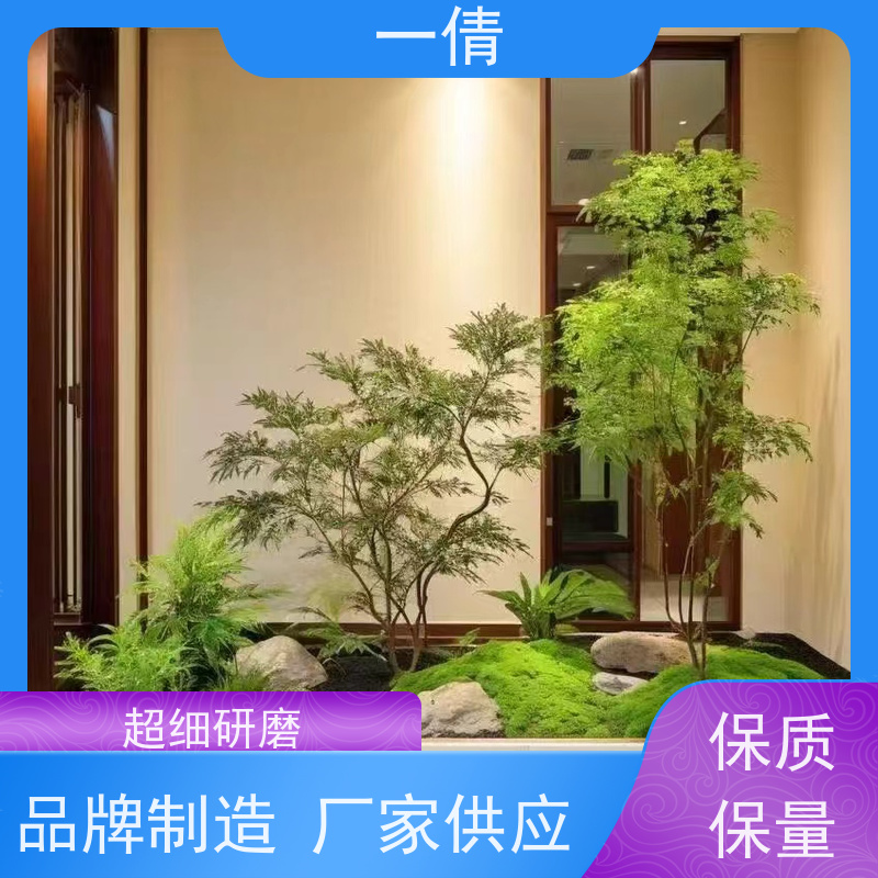 一倩花卉 室内 福禄桐 开业花篮租赁 全城配送 上门养护