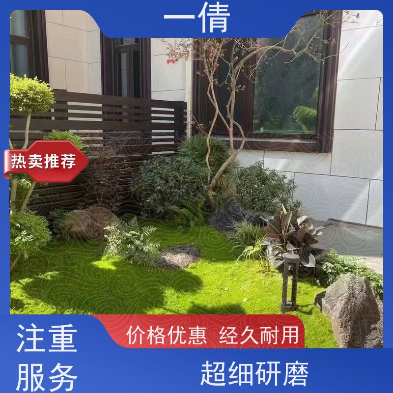 一倩花卉 深圳 虎尾兰 花卉租赁 全城配送 上门养护