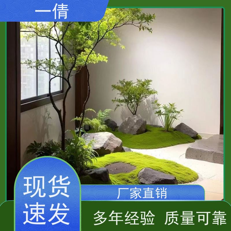 一倩花卉 办公室 富贵竹 开业花篮租赁 净化空气
