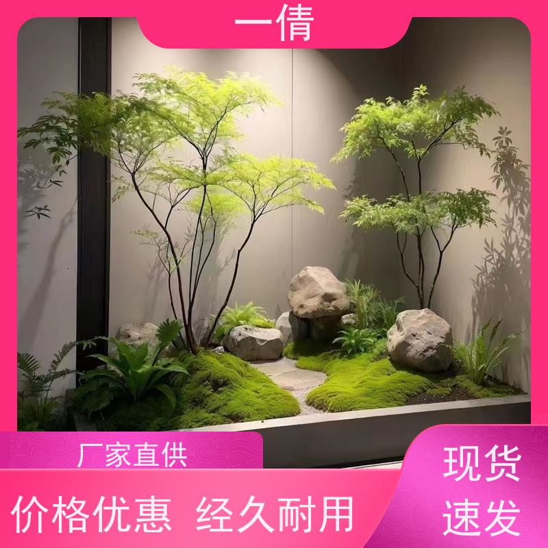 一倩花卉 办公室 70盆四季桔 绿植租摆 桌面绿植 花木护理