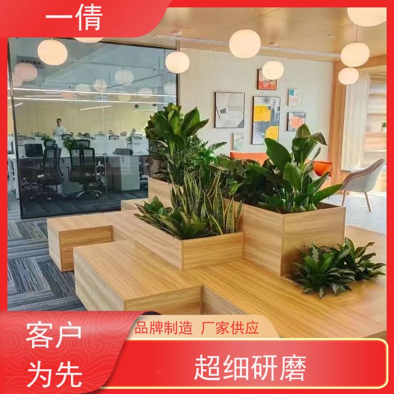 一倩花卉 办公室 小罗汉松 室内植物出租 桌面绿植 花木护理