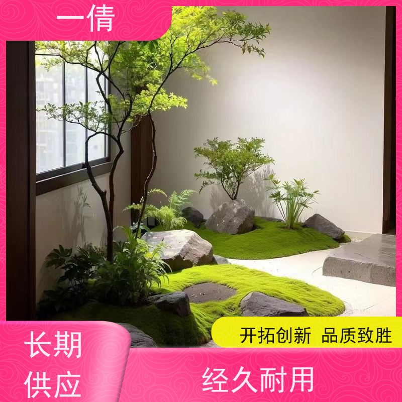 一倩花卉 办公室 高山榕 绿植租赁 桌面绿植 花木护理