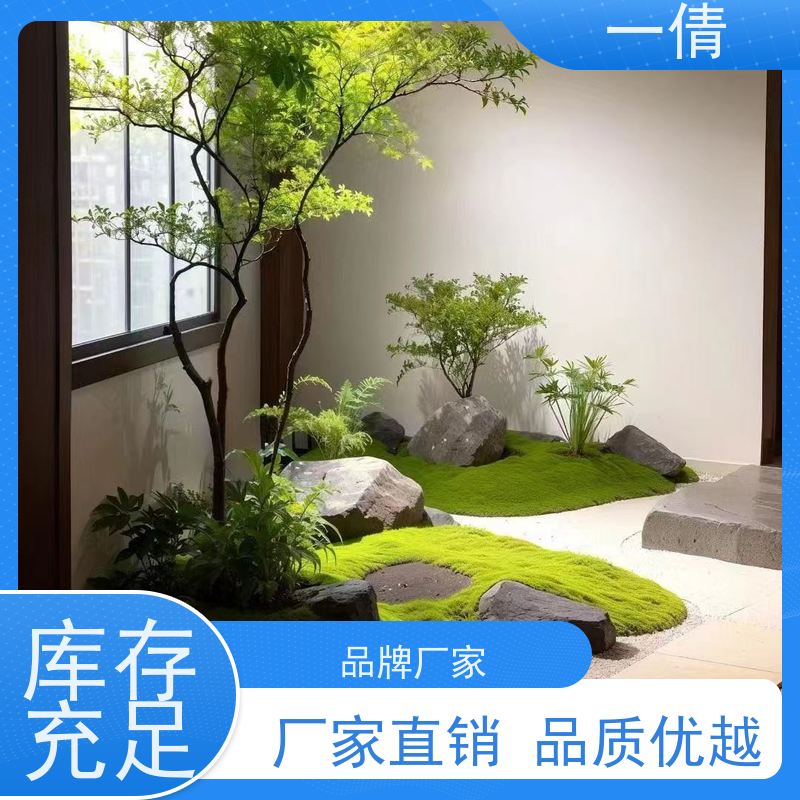 一倩花卉 深圳 柠檬树 绿植租赁 桌面绿植 花木护理