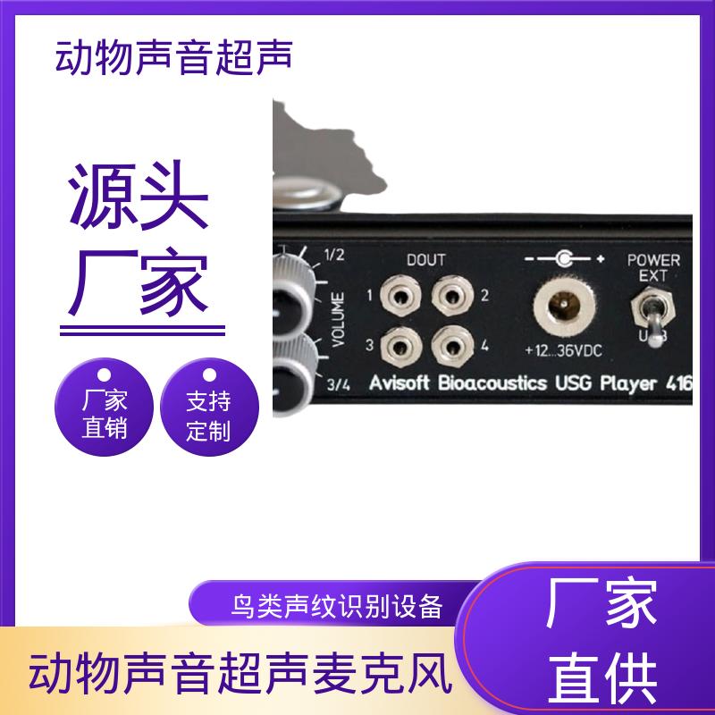 德国Avisoft 蝙蝠引诱超声波播放装置 85x35 x190 mm 厂家供应 现货充足