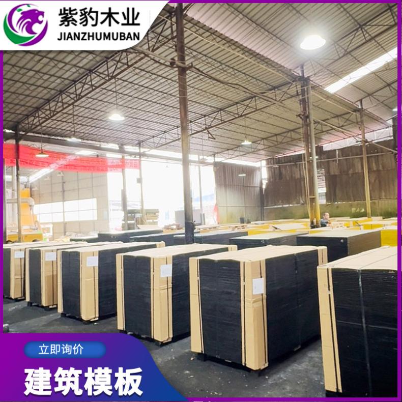 厚度10-15mm 批发水利工程工地模板木工板 芯桉树 紫豹木业
