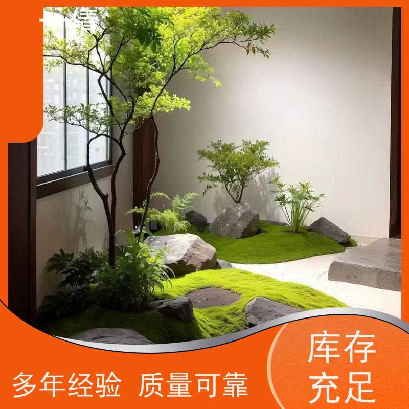 一倩花卉 办公室 福木 花卉租赁 种类繁多 规格齐全