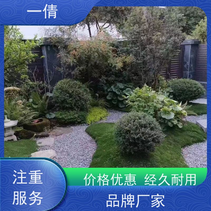 一倩花卉 办公室 小罗汉松 花卉租赁 桌面绿植 花木护理
