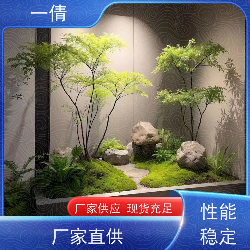 一倩花卉 室内 龙血树 绿植出售 全城配送 上门养护
