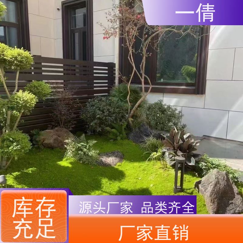 一倩花卉 办公室 富贵籽 室内植物出租 种类繁多 规格齐全
