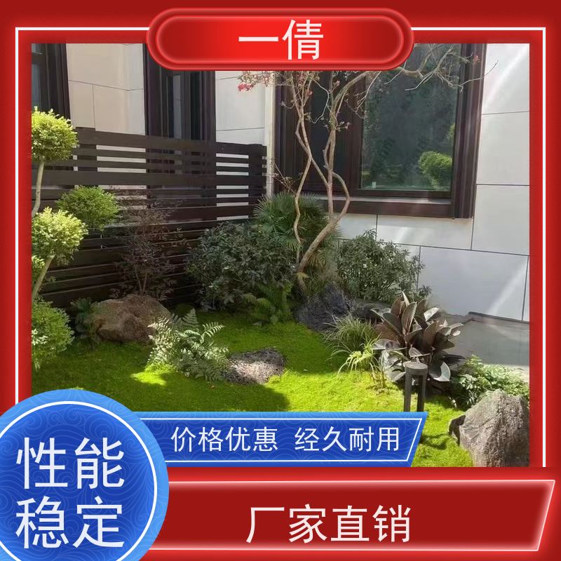 一倩花卉 深圳 保罗 室内植物出租 种类繁多 规格齐全