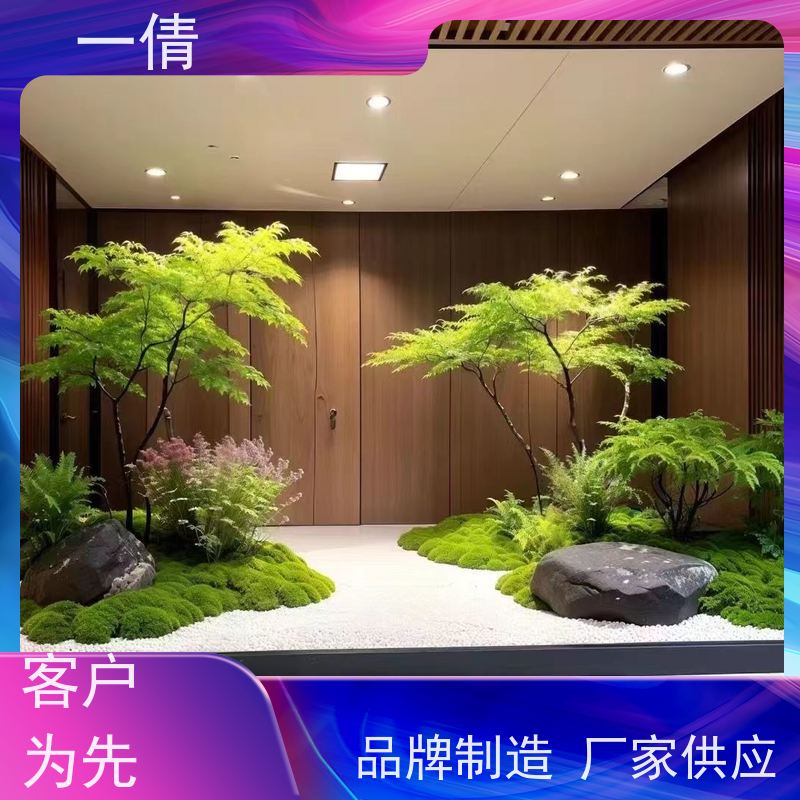 一倩花卉 室内 吉利红 室内植物出租 种类繁多 规格齐全