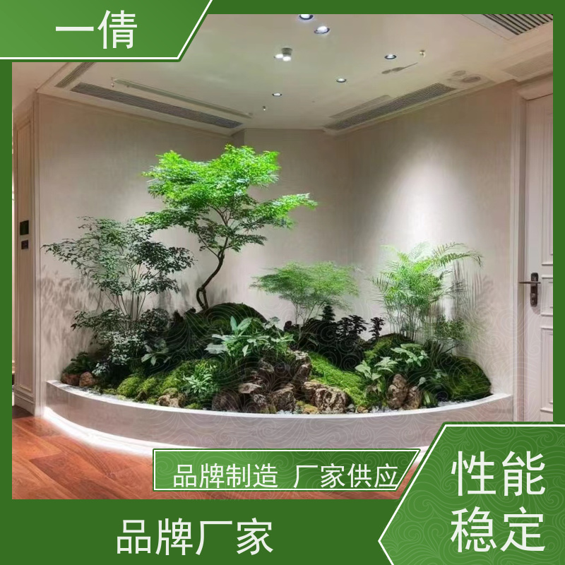 一倩花卉 办公室 紫檀 绿植租赁 桌面绿植 花木护理