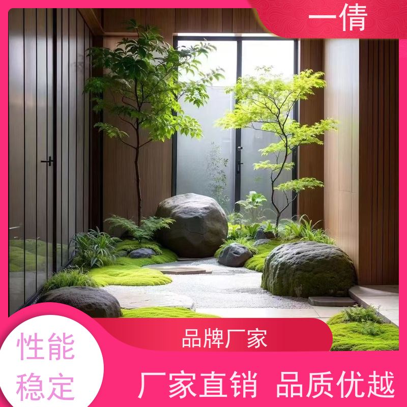 一倩花卉 深圳 紫檀 绿植租赁 种类繁多 规格齐全