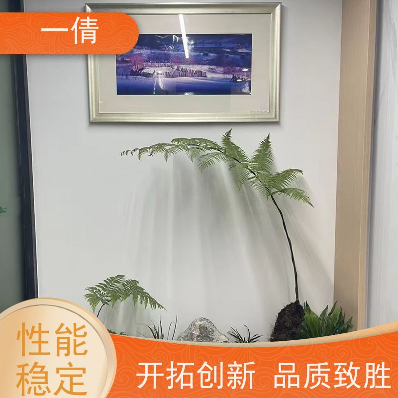 一倩花卉 室内 黄蝴蝶兰 室内植物出租 全城配送 上门养护