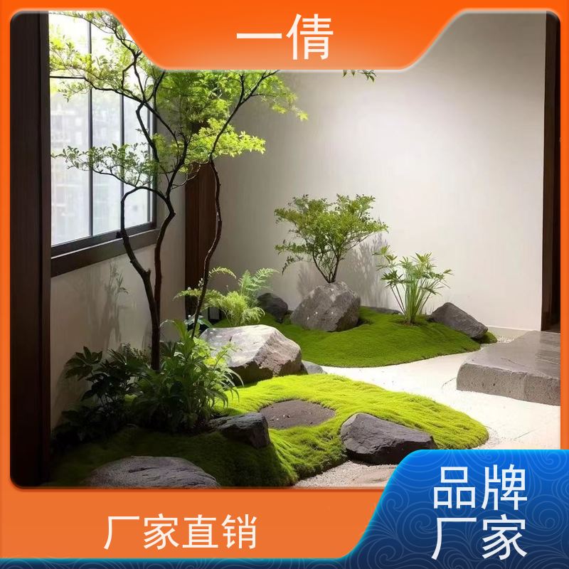 一倩花卉 室内 墨兰 绿植租赁 全城配送 上门养护