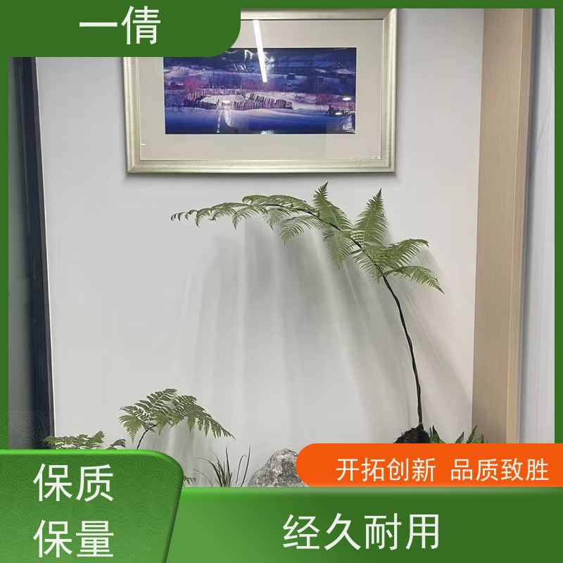 一倩花卉 室内 青叶铁 开业花篮租赁 全城配送 上门养护