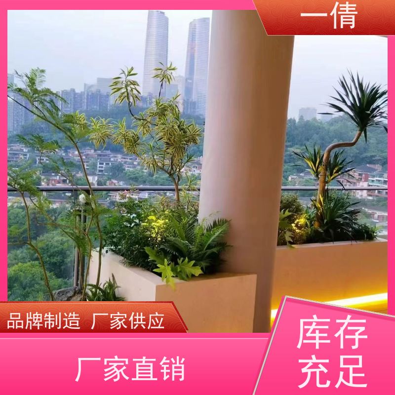 一倩花卉 办公室 富贵树 花卉租赁 桌面绿植 花木护理