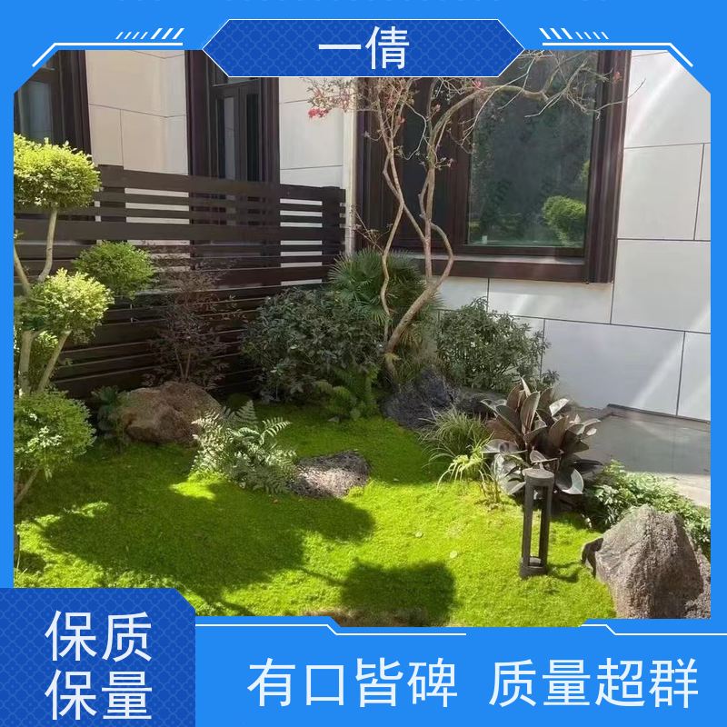 一倩花卉 室内 天堂鸟 绿植租摆 全城配送 上门养护