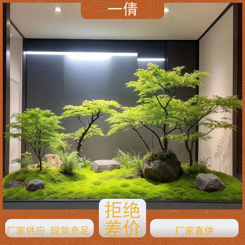 一倩花卉 前台 鹅掌财 开业花篮租赁 种类繁多 规格齐全