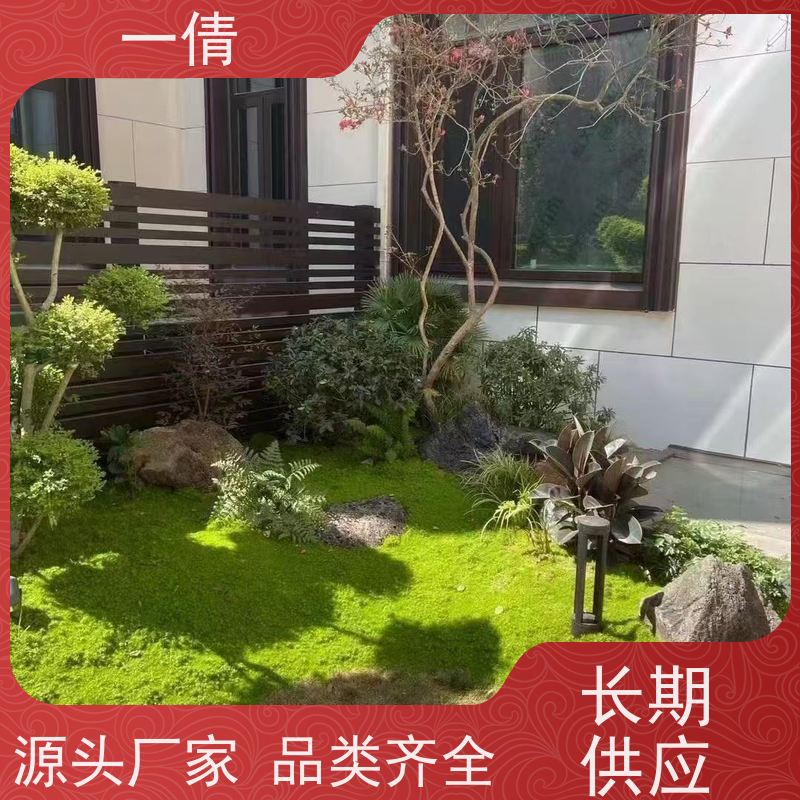 一倩花卉 前台 鹅掌财 绿植出售 种类繁多 规格齐全