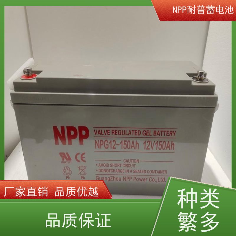 耐普蓄电池 NPG12-200 阀控式密封储能型 质量保证 