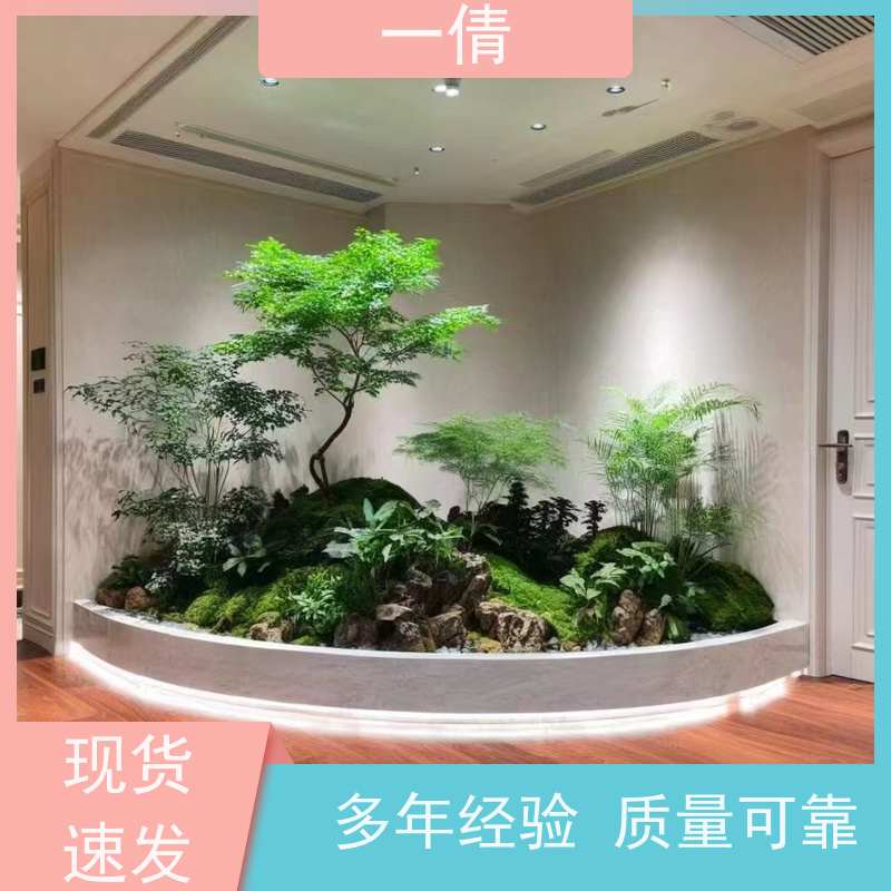 一倩花卉 前台 虎尾兰 绿植出售 全城配送 上门养护