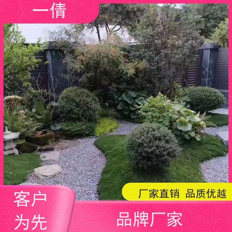 一倩花卉 办公室 高山榕 室内植物出租 全城配送 上门养护