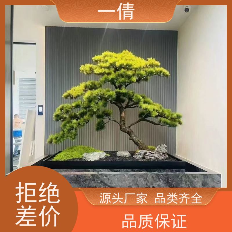 一倩花卉 室内 保罗 绿植租赁 全城配送 上门养护