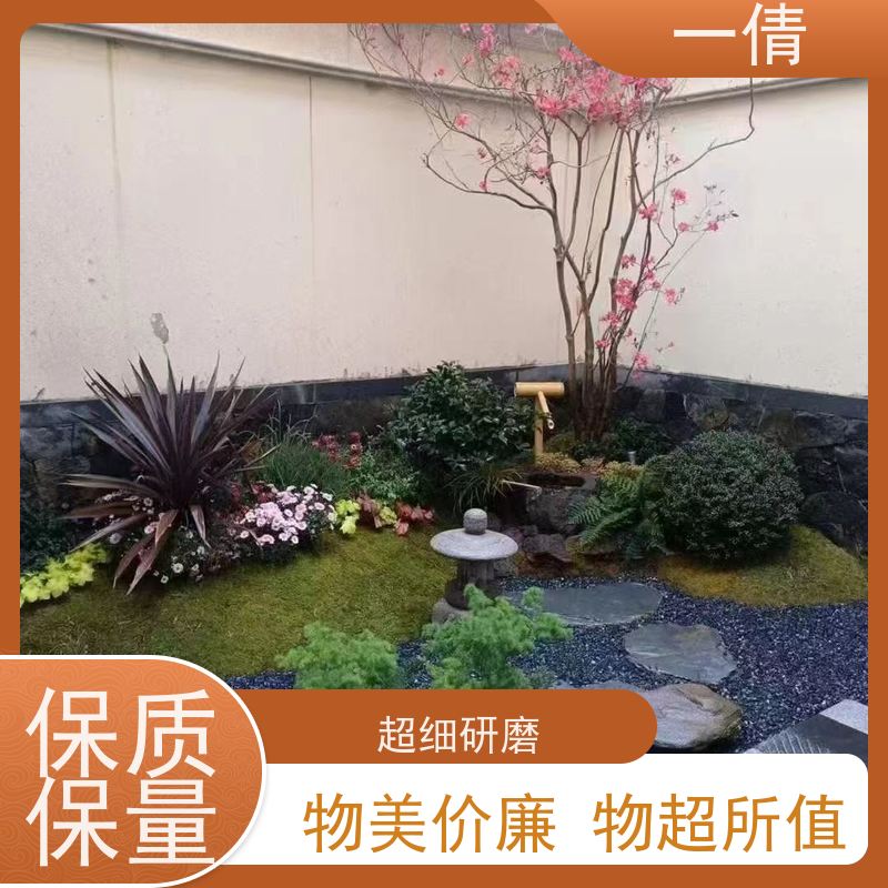 一倩花卉 办公室 常春藤 室内植物出租 桌面绿植 花木护理