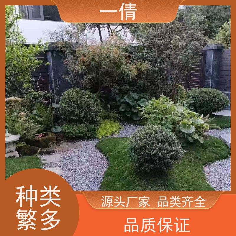 一倩花卉 室内 组合花镜 室内植物出租 全城配送 上门养护