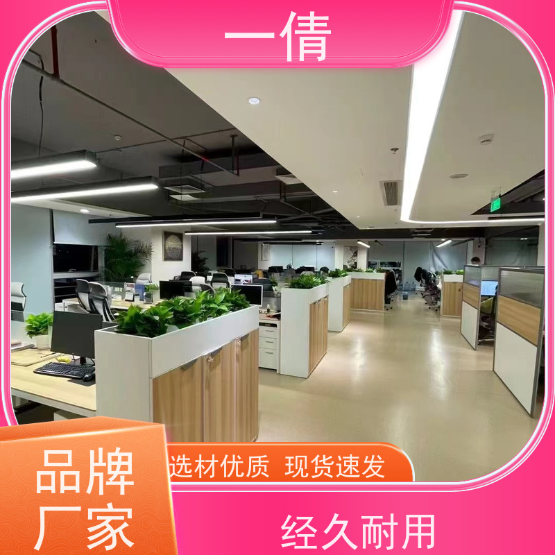 一倩花卉 前台 雅丽 室内植物出租 种类繁多 规格齐全
