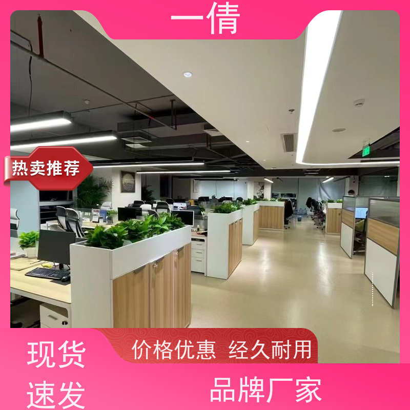 一倩花卉 深圳 吉利红 花卉租赁 桌面绿植 花木护理