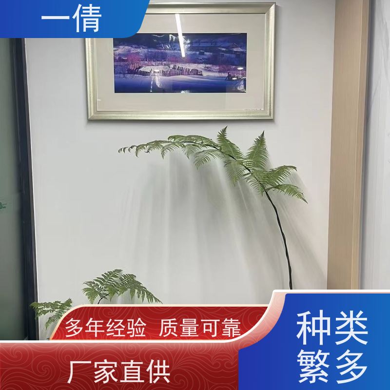 一倩花卉 办公室 春雨 花卉租赁 全城配送 上门养护