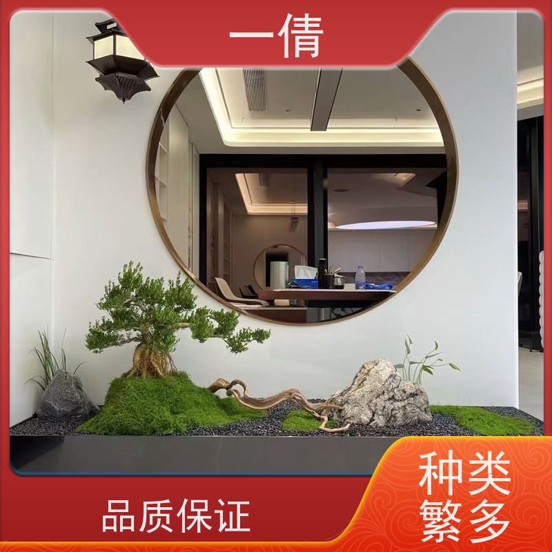 一倩花卉 办公室 黄杨 绿植出售 种类繁多 规格齐全