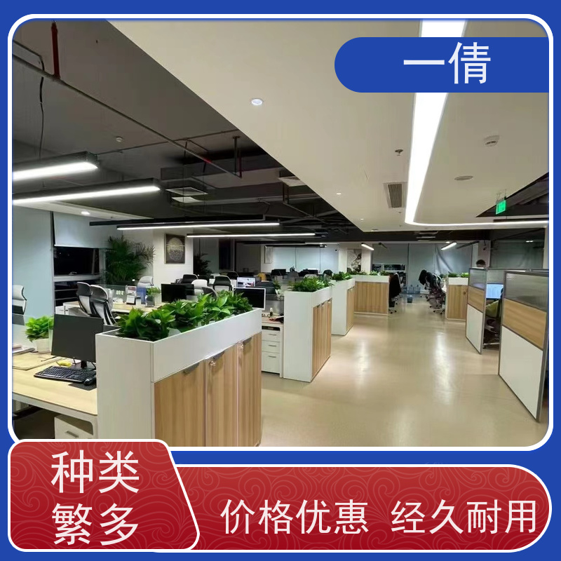 一倩花卉 前台 小慧兰 室内植物出租 桌面绿植 花木护理