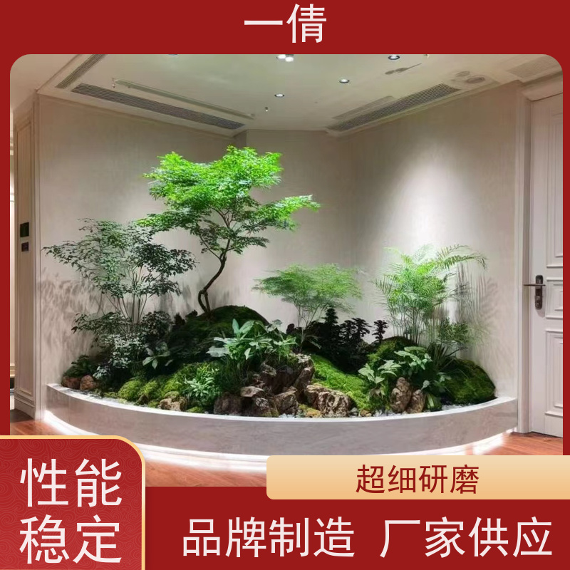 一倩花卉 前台 冬青 花卉租赁 桌面绿植 花木护理
