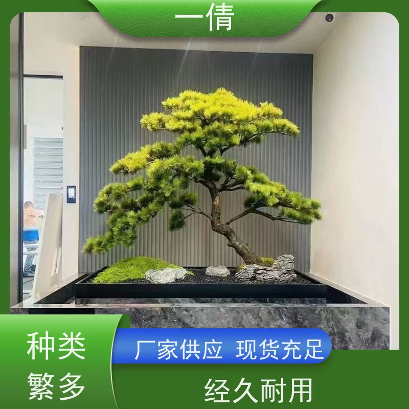 一倩花卉 办公室 砖石翡翠 绿植租摆 种类繁多 规格齐全