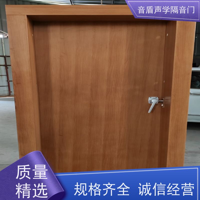 音盾科技 家庭影院 防火隔音门 品质保证 工厂批发