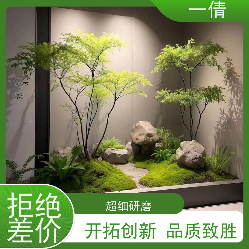 一倩花卉 深圳 金钱树 开业花篮租赁 种类繁多 规格齐全