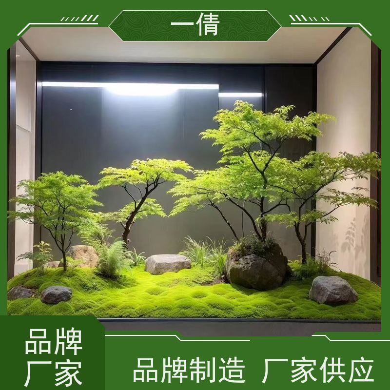 一倩花卉 前台 七彩铁 室内植物出租 全城配送 上门养护