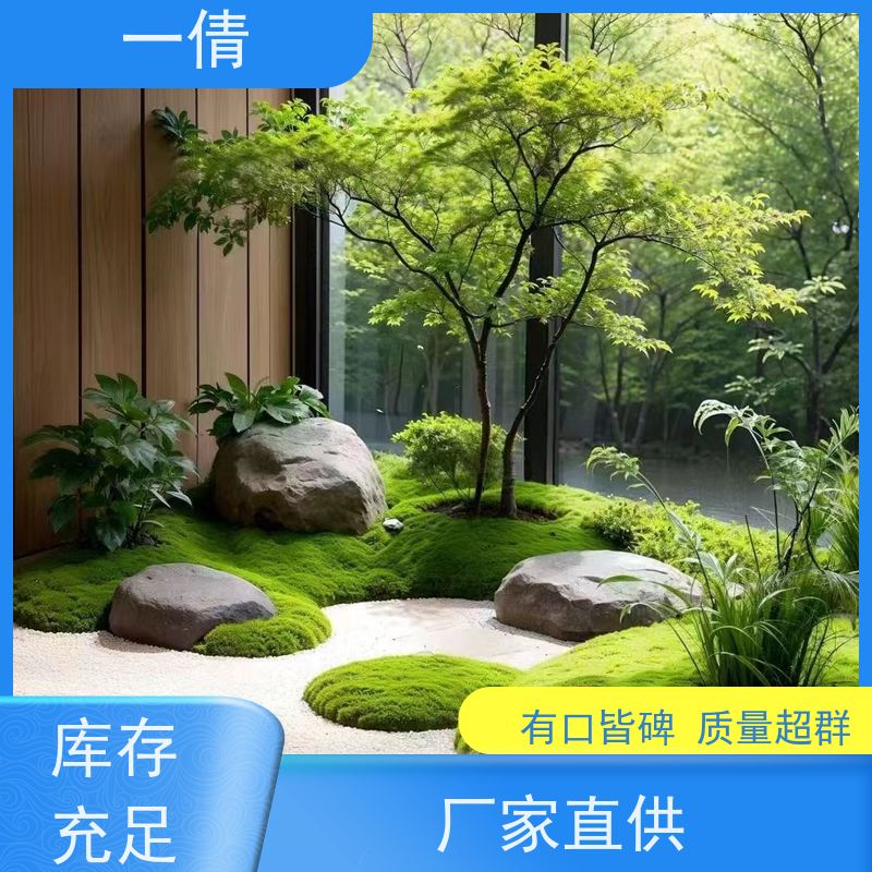 一倩花卉 室内 石斛 花卉租赁 种类繁多 规格齐全
