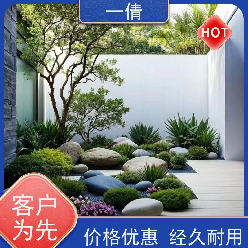 一倩花卉 前台 天堂鸟 绿植租赁 全城配送 上门养护