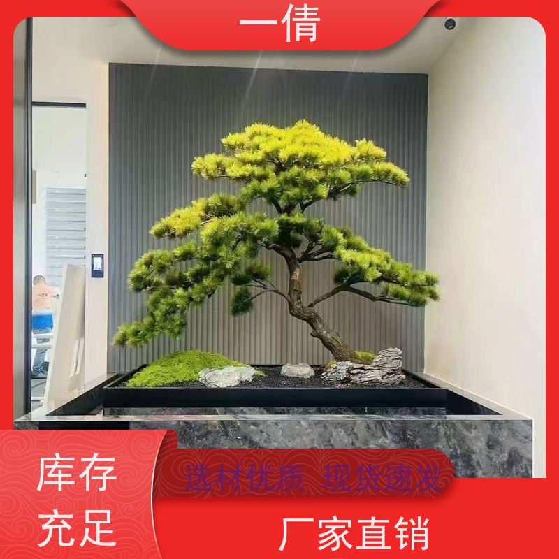 一倩花卉 办公室 如意 绿植租摆 全城配送 上门养护