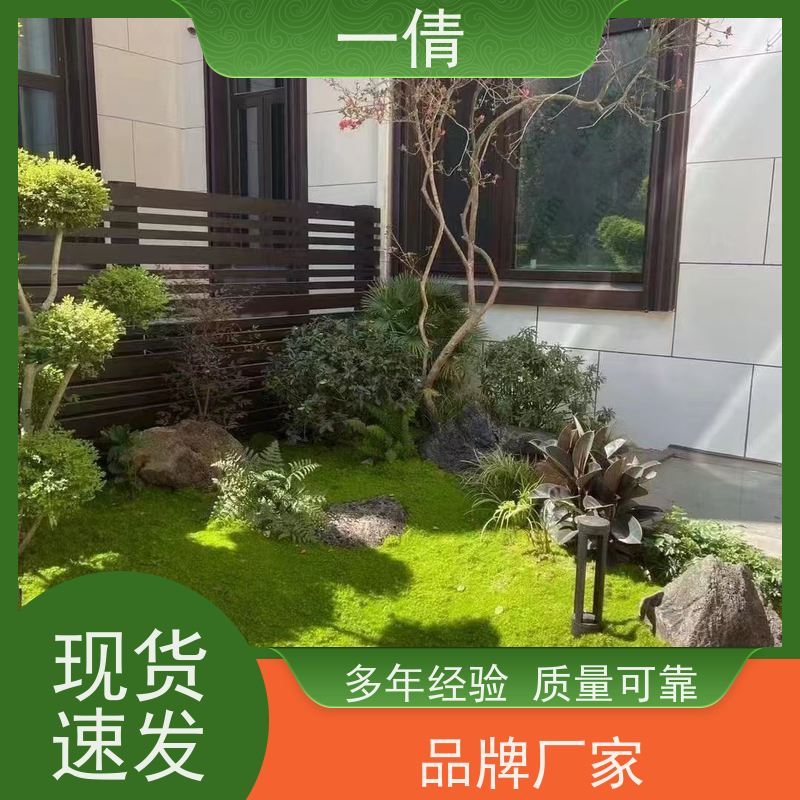一倩花卉 办公室 冬青 开业花篮租赁 桌面绿植 花木护理