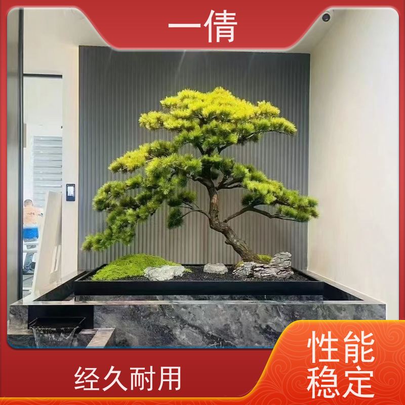 一倩花卉 深圳 砖石翡翠 绿植出售 全城配送 上门养护