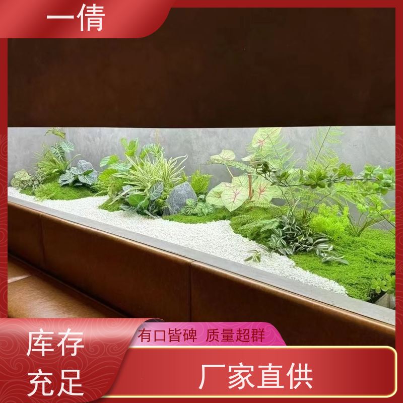 一倩花卉 前台 保罗 室内植物出租 种类繁多 规格齐全